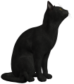 Click on picture for full size Black Cat transparent background png clip art