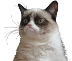 Click on picture for full size Grumpy Cat transparent background png clip art